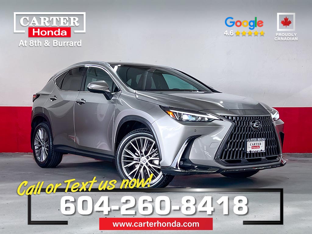 Gray 2024 Lexus NX Hybrid SUV / Crossover Automatic